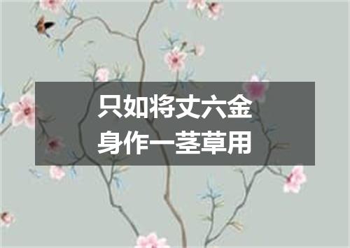 只如将丈六金身作一茎草用