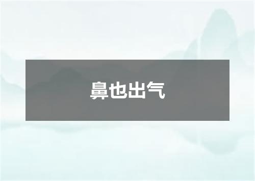 鼻也出气