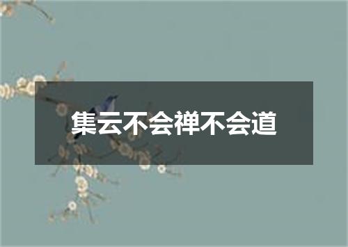 集云不会禅不会道