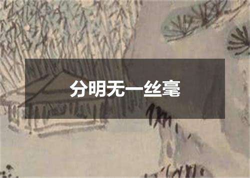 分明无一丝毫