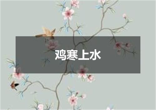 鸡寒上水