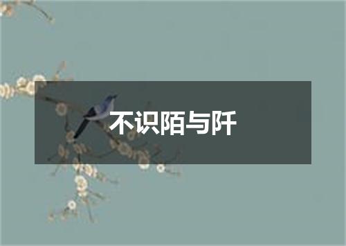 不识陌与阡