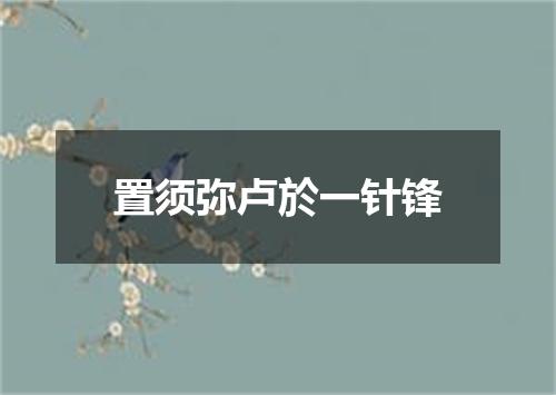 置须弥卢於一针锋