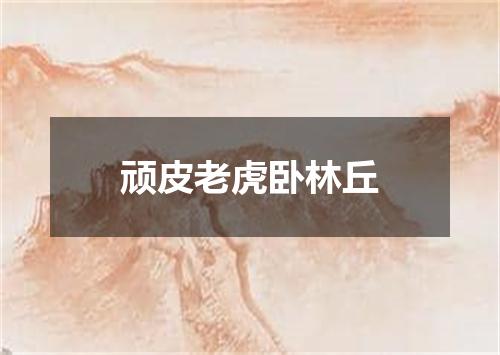 顽皮老虎卧林丘