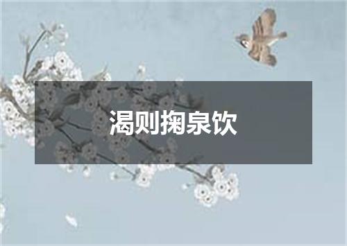 渴则掬泉饮