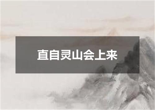 直自灵山会上来