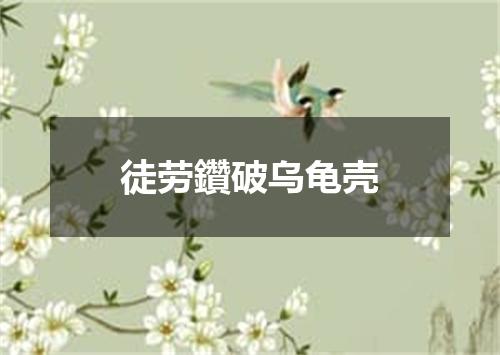 徒劳鑽破乌龟壳