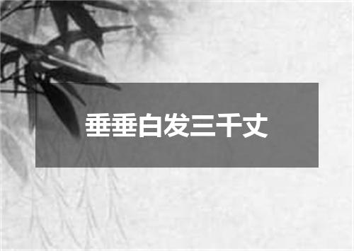 垂垂白发三千丈