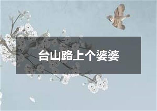 台山路上个婆婆