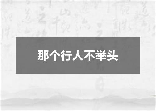 那个行人不举头