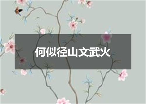 何似径山文武火