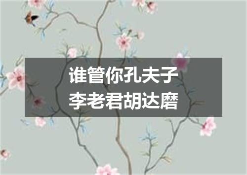 谁管你孔夫子李老君胡达磨