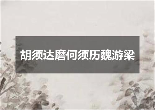 胡须达磨何须历魏游梁