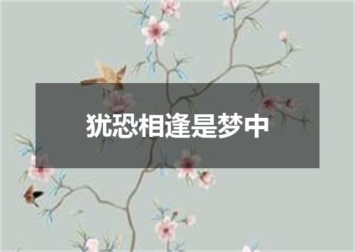 犹恐相逢是梦中