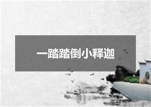 一踏踏倒小释迦