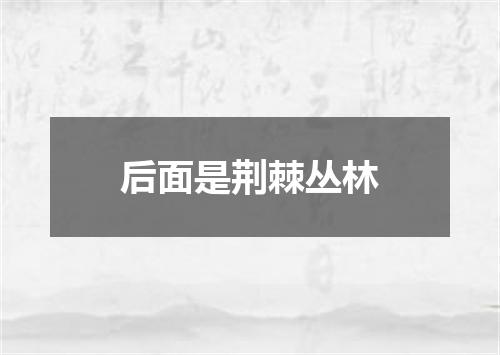 后面是荆棘丛林