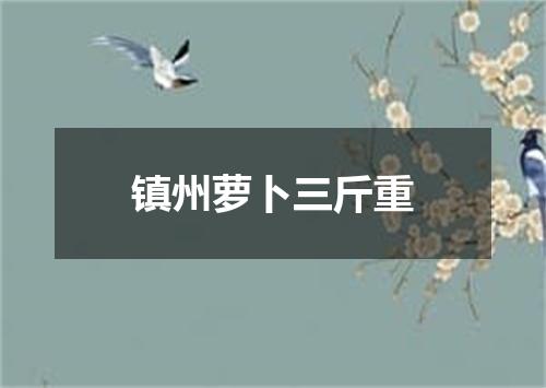 镇州萝卜三斤重