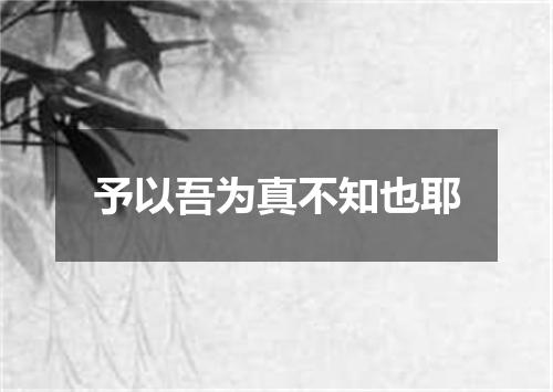 予以吾为真不知也耶