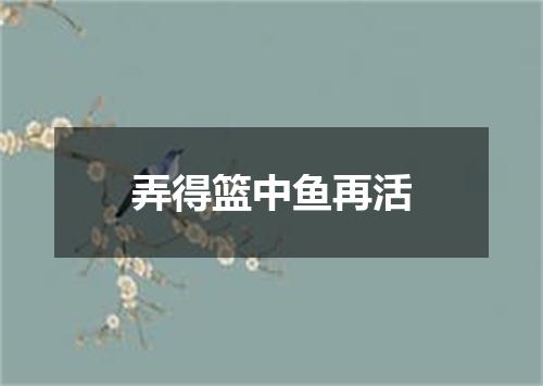 弄得篮中鱼再活