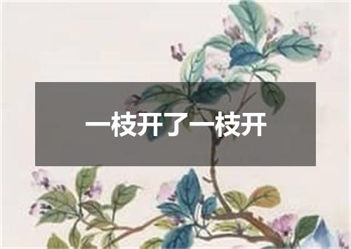 一枝开了一枝开