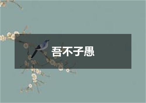 吾不子愚