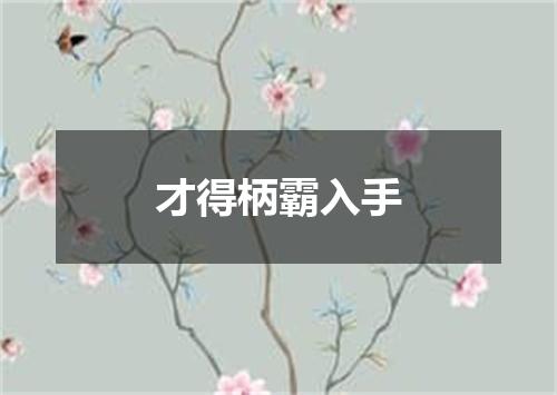 才得柄霸入手