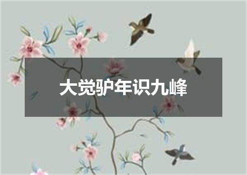 大觉驴年识九峰