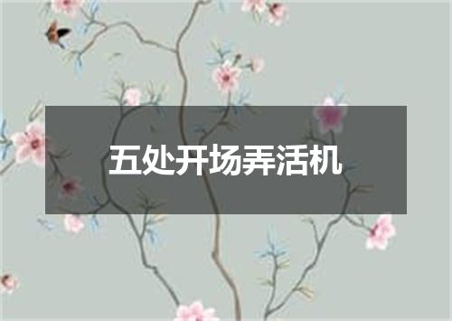 五处开场弄活机
