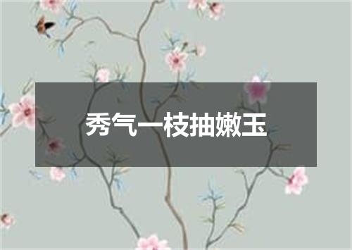 秀气一枝抽嫩玉