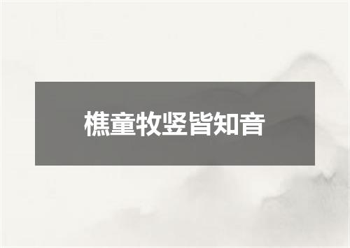 樵童牧竖皆知音