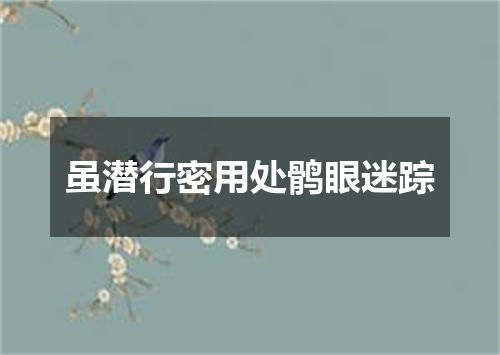 虽潜行密用处鹘眼迷踪