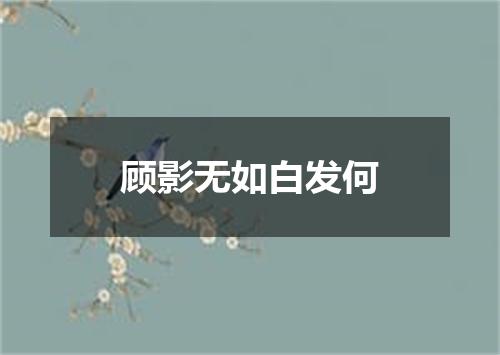 顾影无如白发何