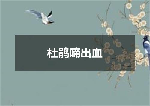 杜鹃啼出血