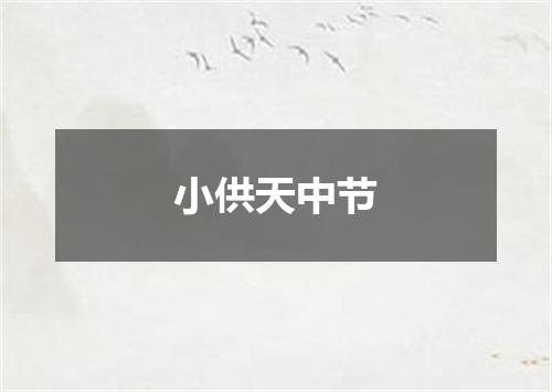 小供天中节