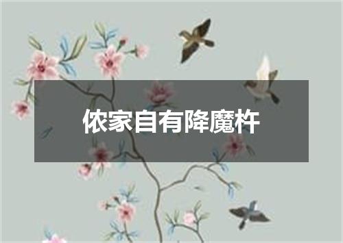 侬家自有降魔杵