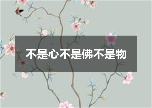 不是心不是佛不是物