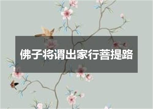 佛子将谓出家行菩提路