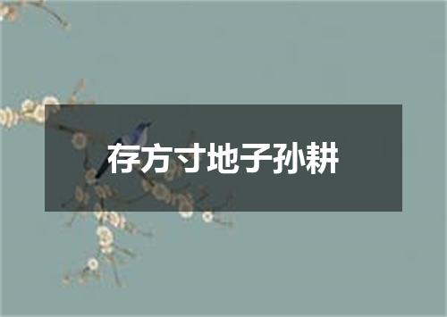 存方寸地子孙耕