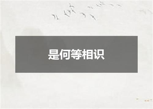 是何等相识