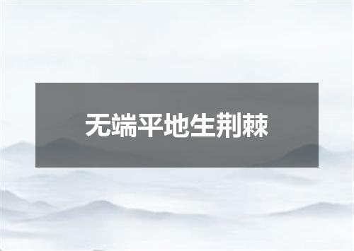 无端平地生荆棘