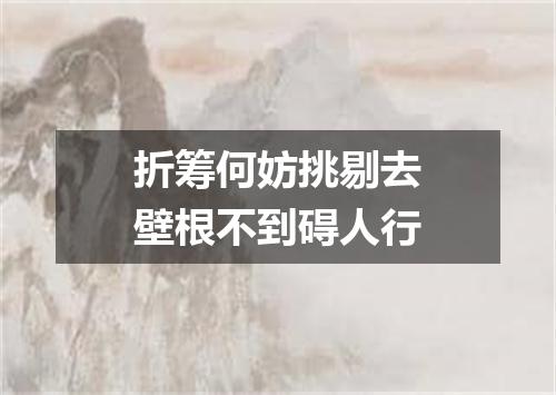 折筹何妨挑剔去壁根不到碍人行