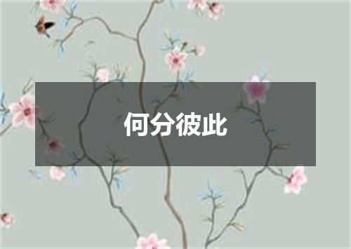 何分彼此