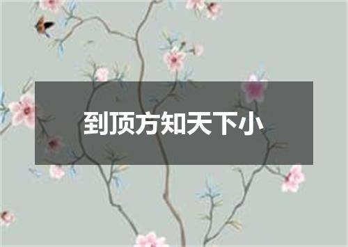 到顶方知天下小