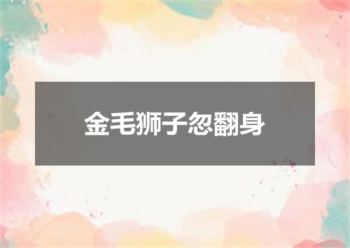 金毛狮子忽翻身