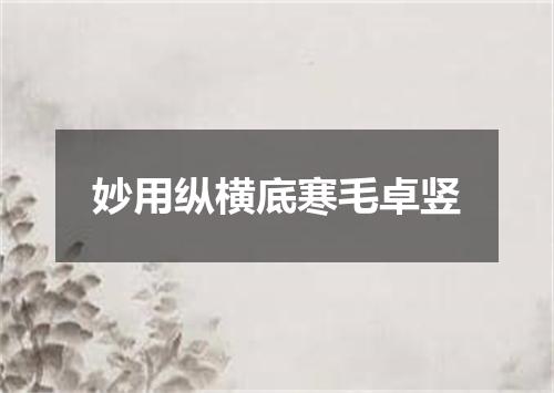 妙用纵横底寒毛卓竖