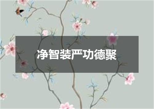 净智装严功德聚