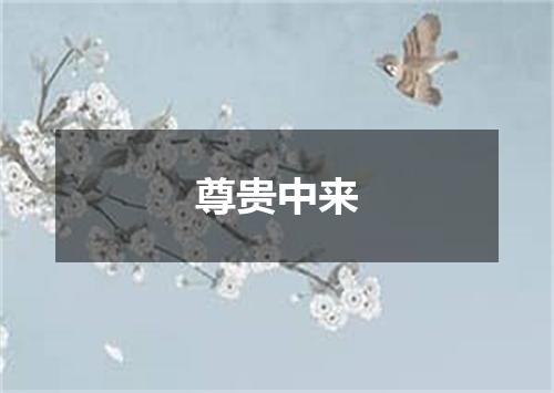 尊贵中来