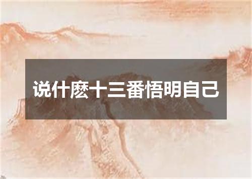 说什麽十三番悟明自己