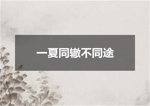 一夏同辙不同途