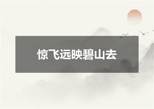 惊飞远映碧山去